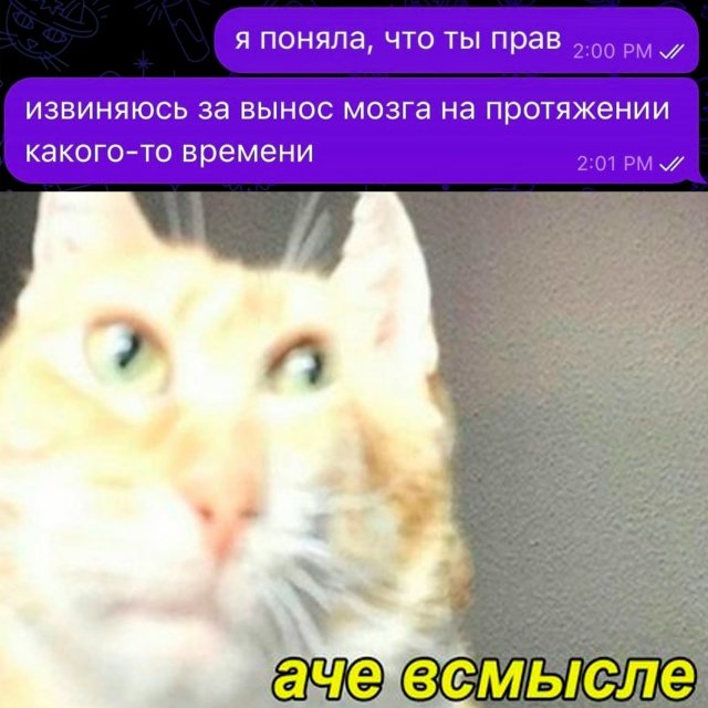 Yaplakal.com tweet media