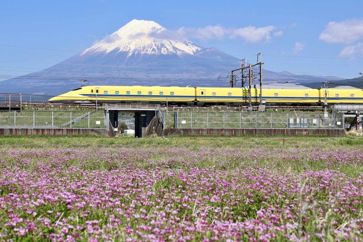 チビロク⛰️あの山の近くで暮らす異時性両側乳がん寛解しました tweet media