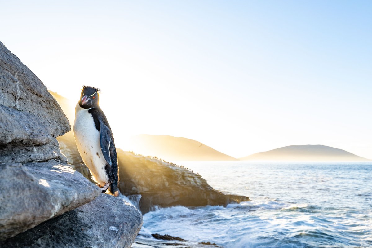 Yusuke Okada｜岡田裕介 tweet media