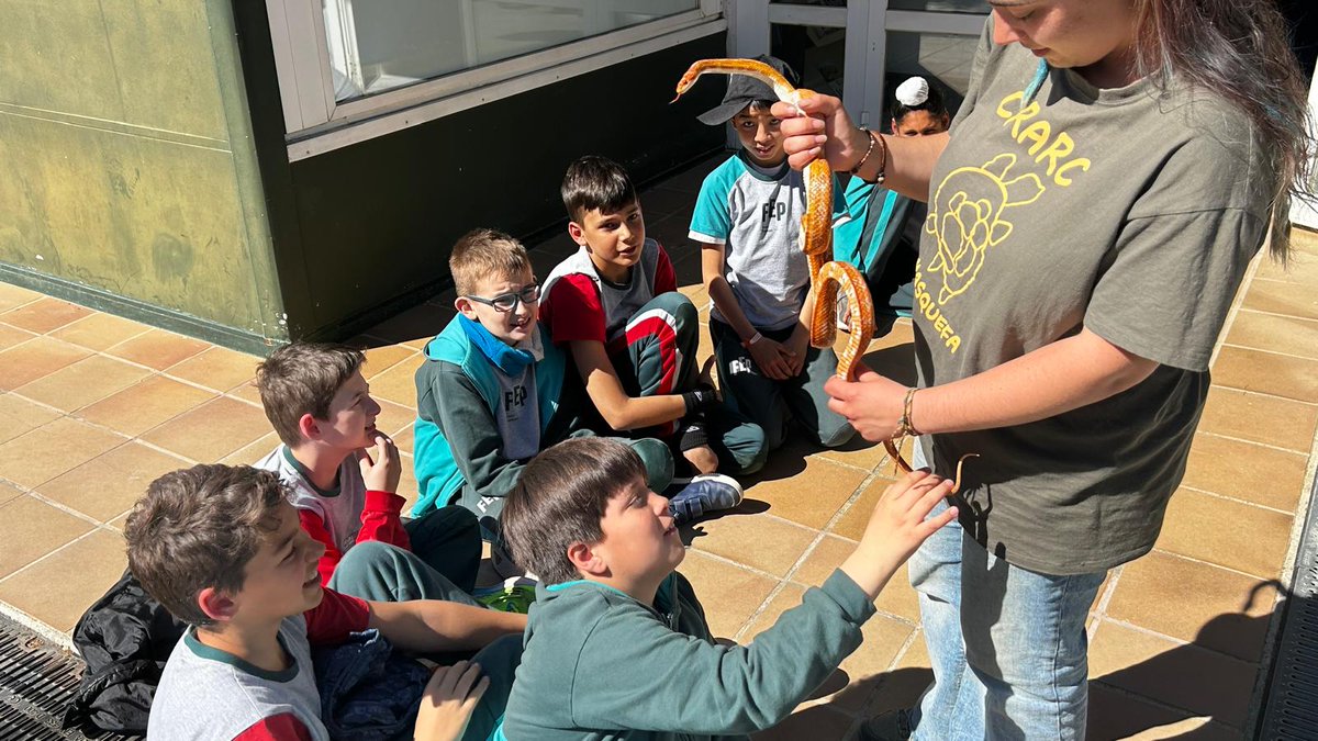 FEP Sant Ramon tweet media