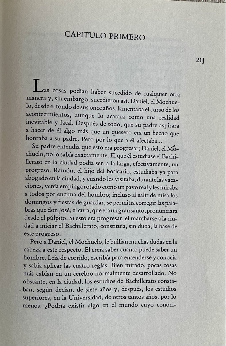 Mila Caja tweet media