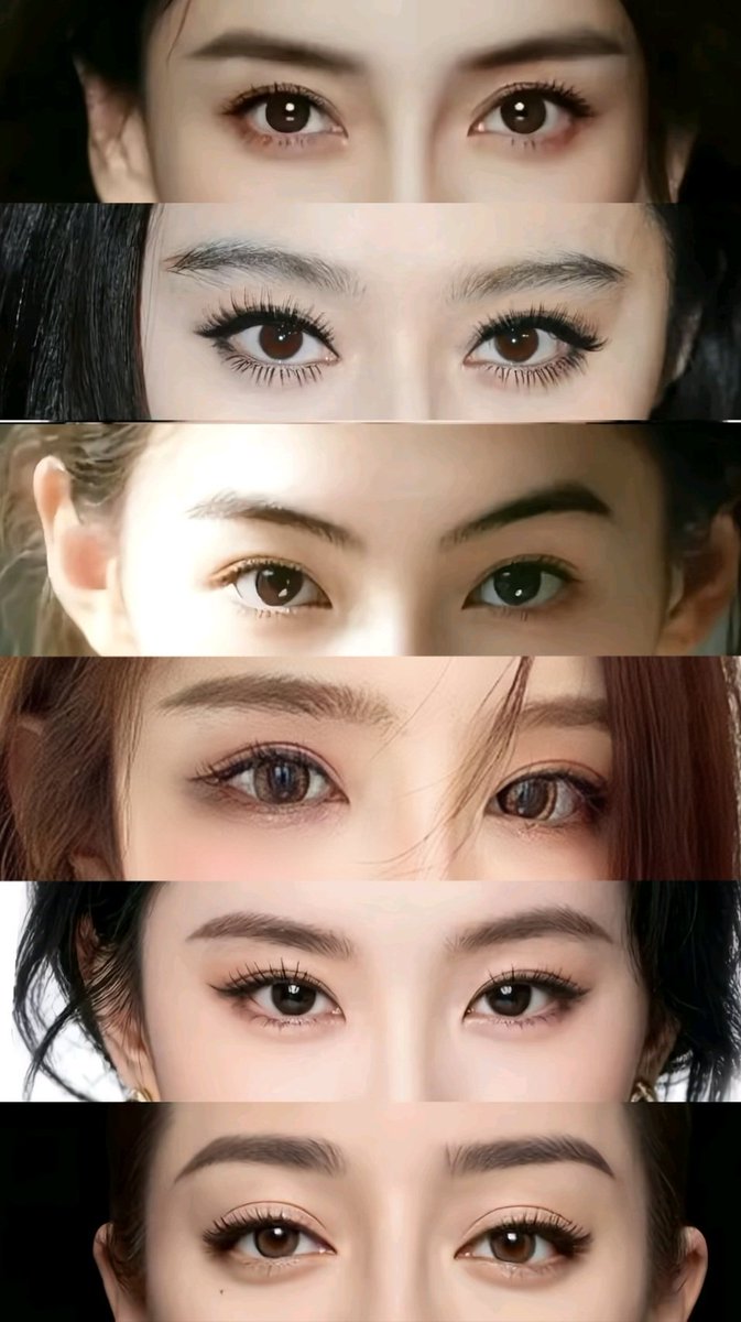 猫小小 tweet media