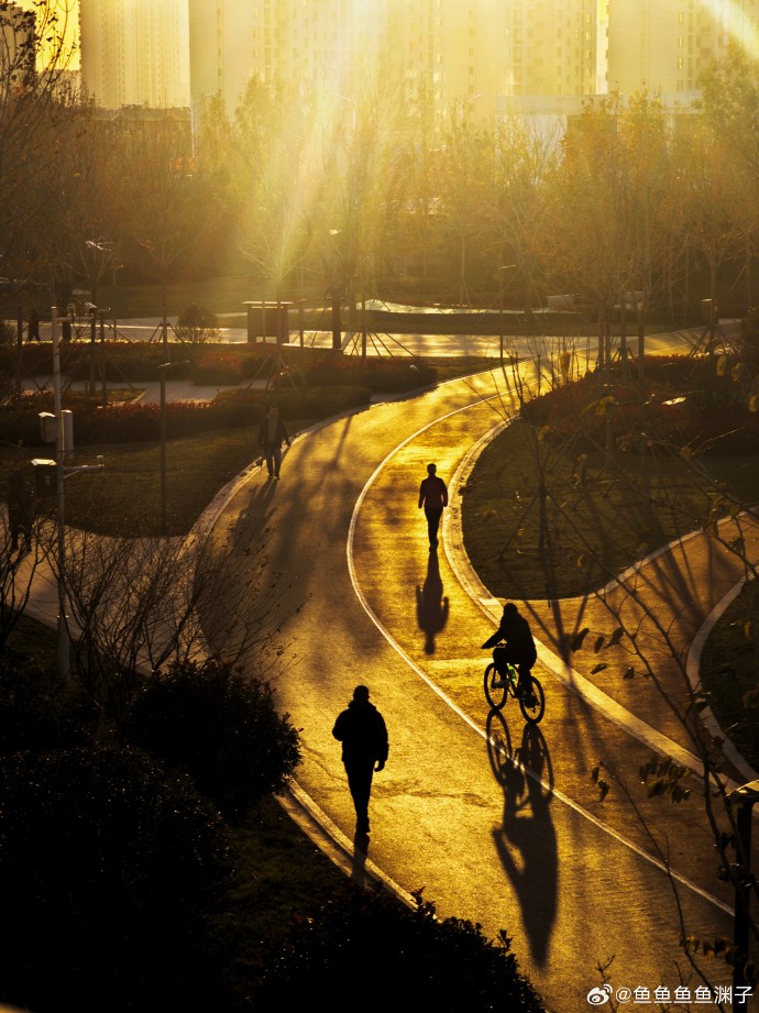 love and war tweet media