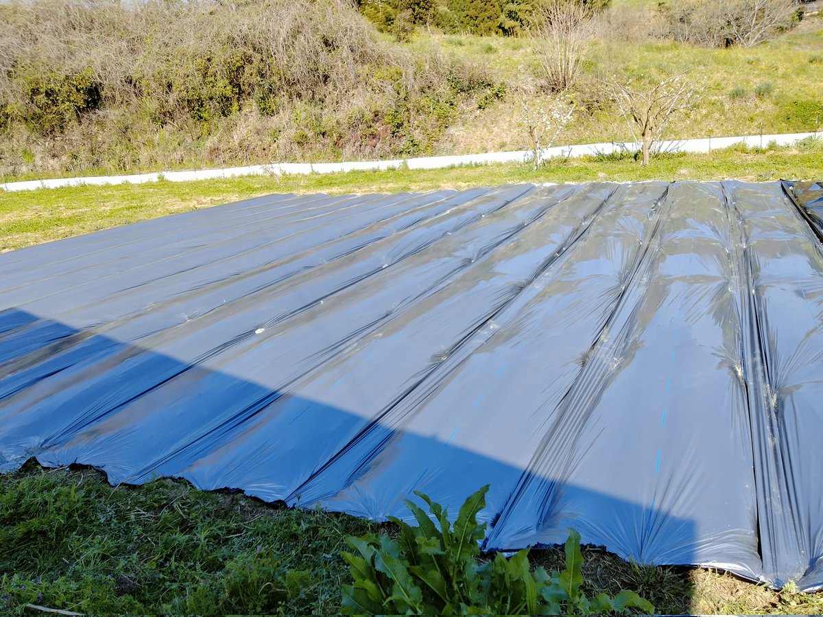 llDX38th農民 tweet media