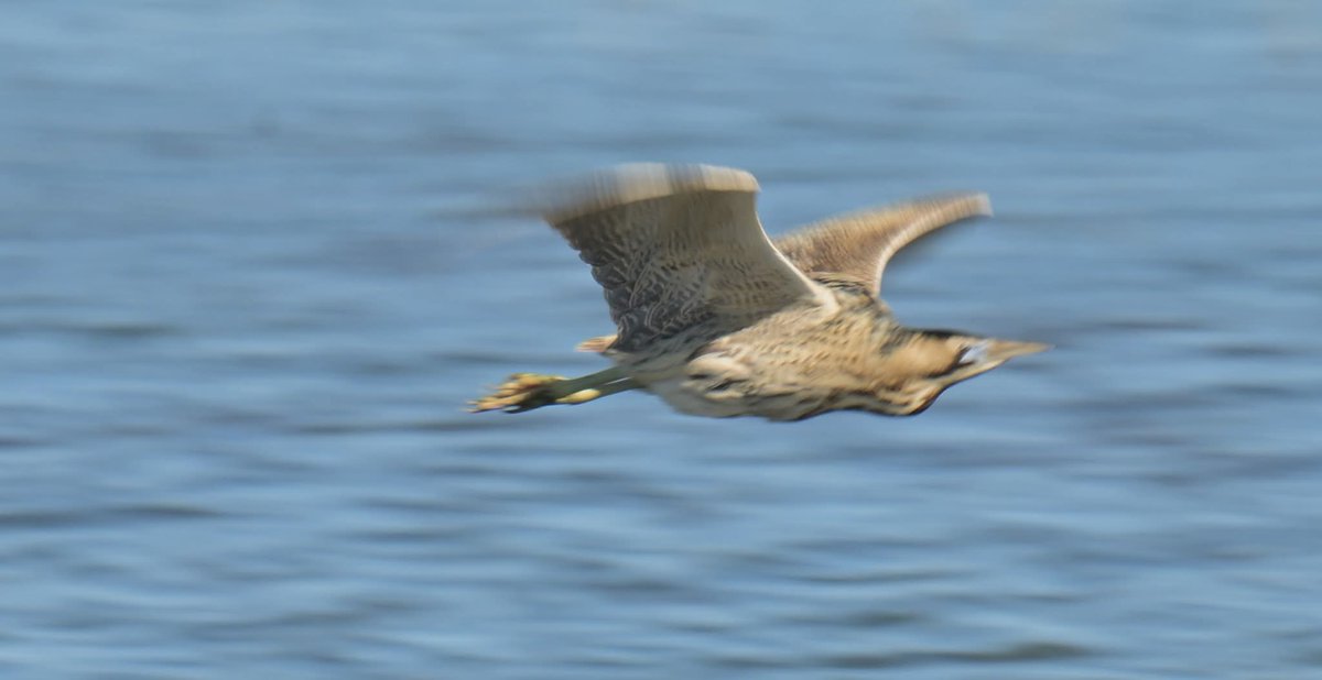 stuart j mundy tweet media