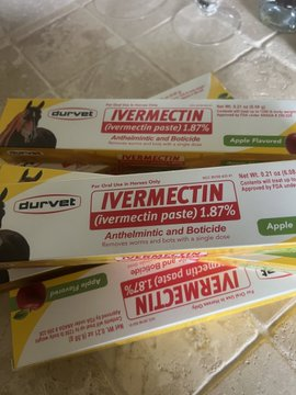 Commentary | Global Ivermectin Research Hub tweet media