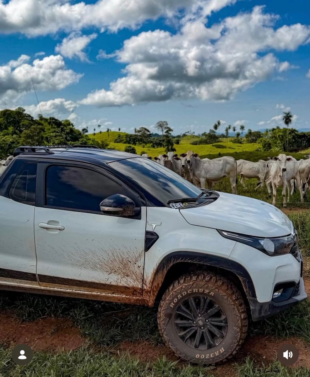 Abdikadir tweet media