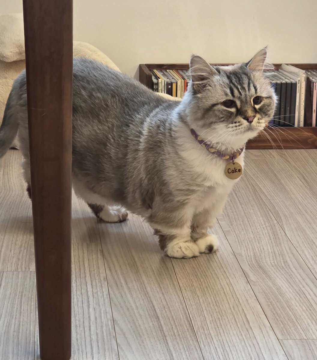 🤿#GoDivingWithJayB 🌴💙 tweet media