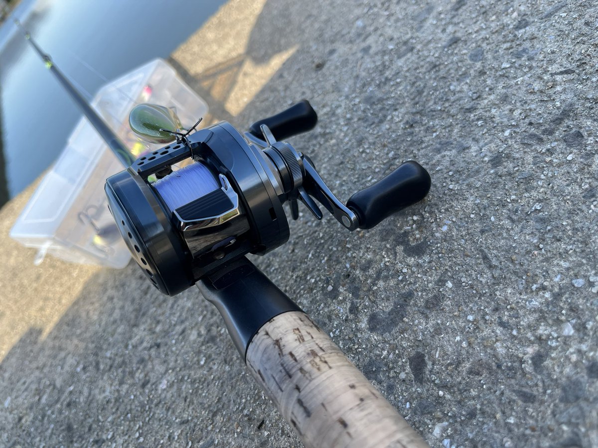 けんぴー　9.5F Lures tweet media