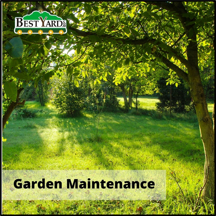 bestyardcom's tweet photo. Keep your garden fresh, healthy, and thriving with expert maintenance services from BestYard. Learn more: https://t.co/nwGWWNDguz
#gardenmaintenance #lawncare #landscapecare #bestyard #aurora https://t.co/SBJPJe0AAt