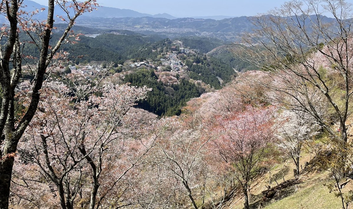 IKM~今北~ tweet media