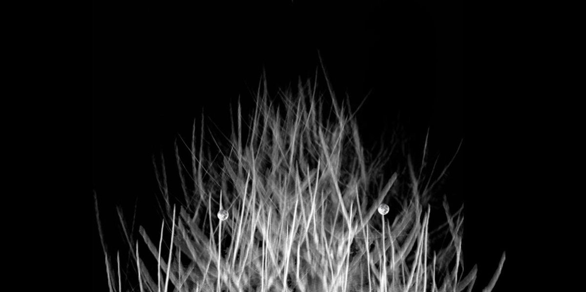 エルスウェア紀行 tweet media