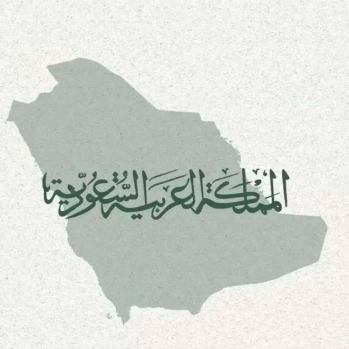 Turki_Majed's tweet photo. 💚🇸🇦 اللهم احفظنا بحفظك 🇸🇦💚 https://t.co/xolADnqpLF