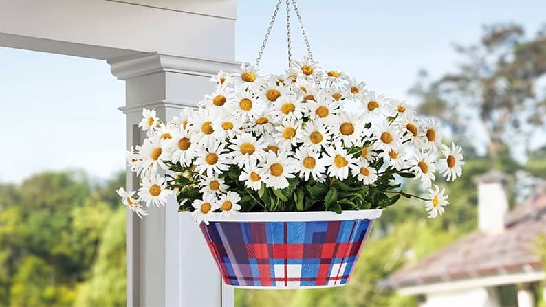 Pop_Fab_Lab's tweet photo. ☀️ Set the scene for summer with Member’s Mark – only at Sam’s Club. 🪴✨

From outdoor décor to ambient lighting, every gathering just got better. 🌿🏡

Make it magic. Make it Member’s Mark.

#SamsClubMembersMark #SummerFun #OutdoorDécor #SetTheSceneForSummer #BackyardGoals https://t.co/fhaMu4jLKN