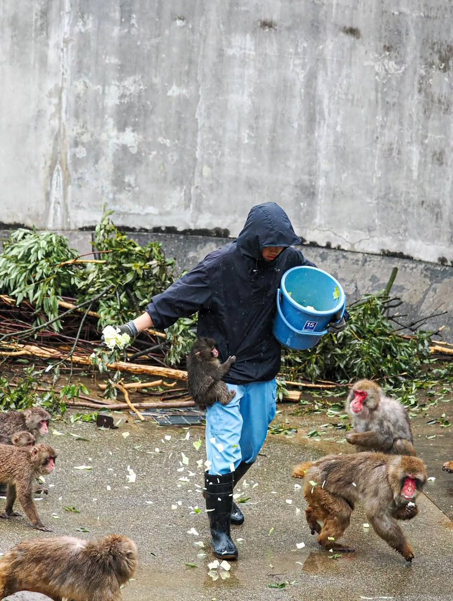 magicalnature5's tweet image. 