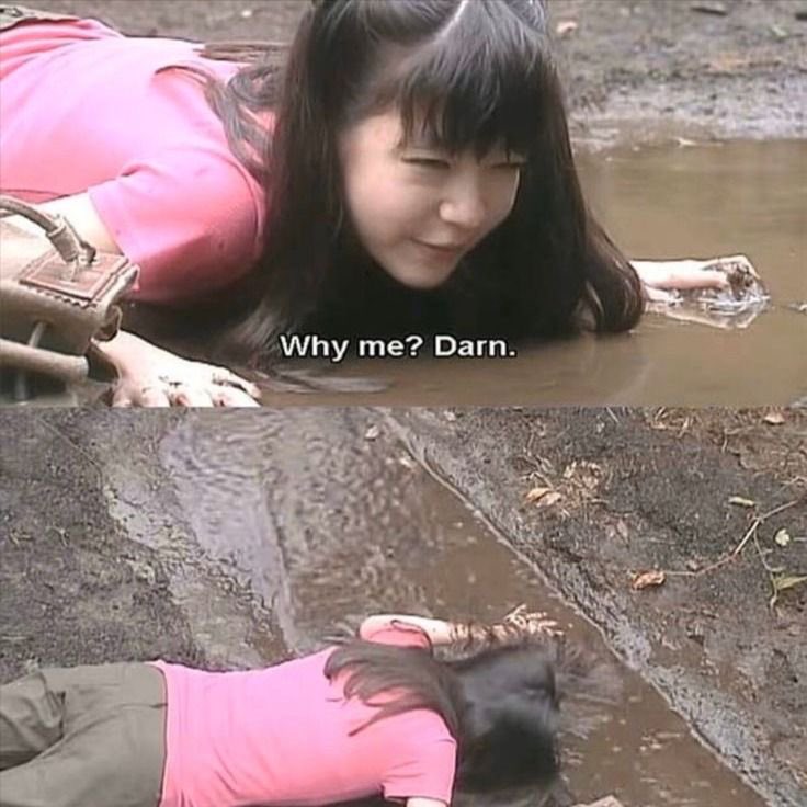 𝔰𝔬𝔭𝔥𝔦 ༉‧₊˚. tweet media