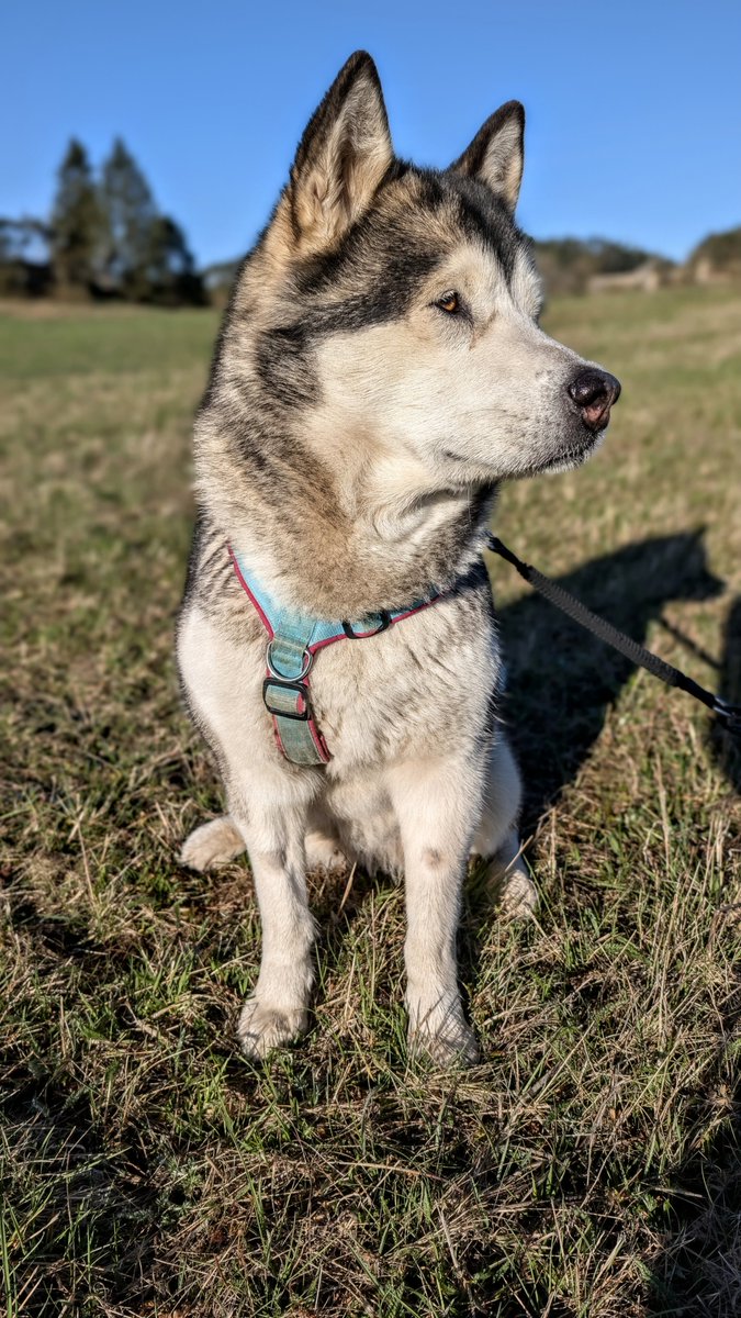 Středočeská Sešívka🇨🇿🇺🇦🇮🇱 tweet media