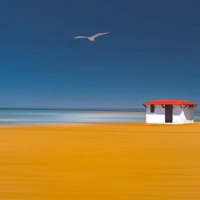 Rose🥀 tweet media