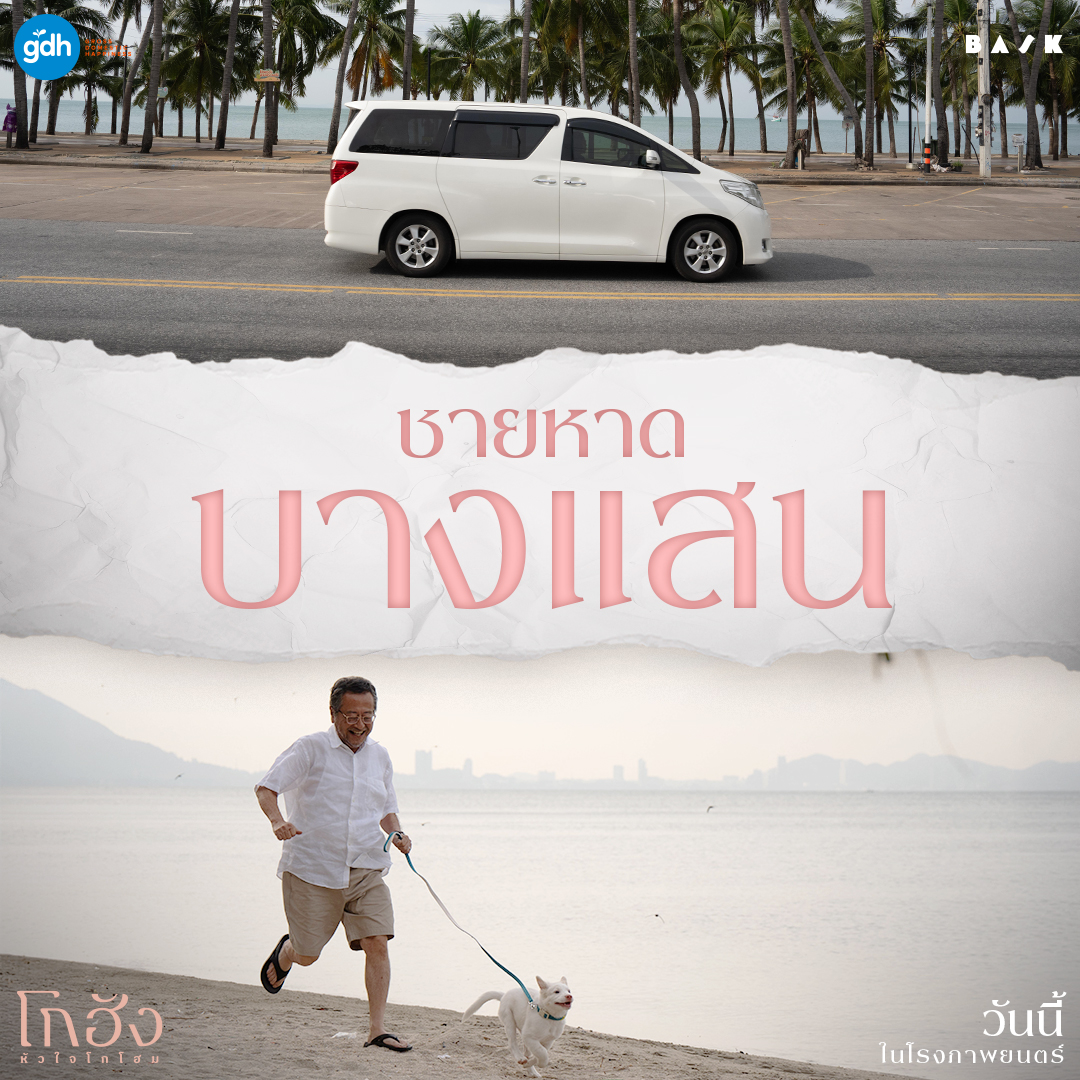 GDH tweet media