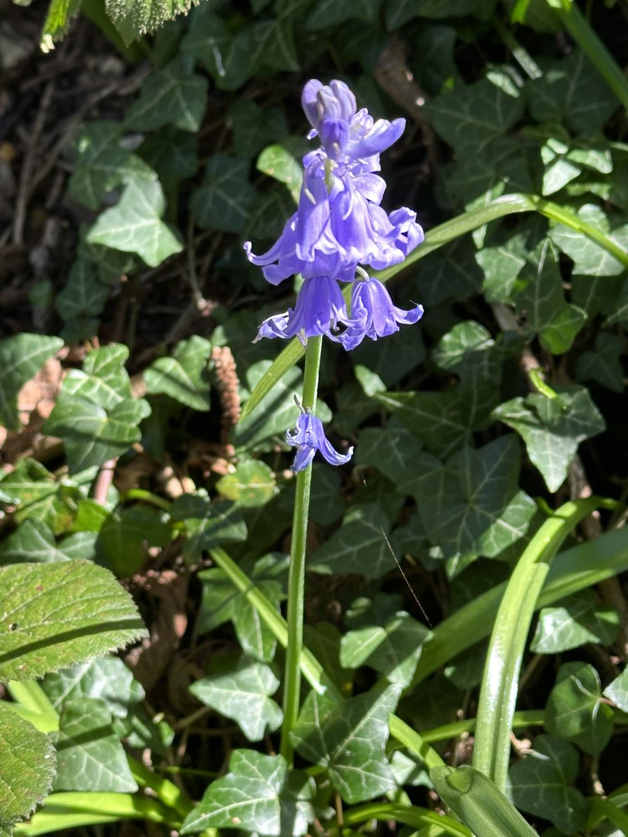 Helen Ibbott 💙📸📖 tweet media