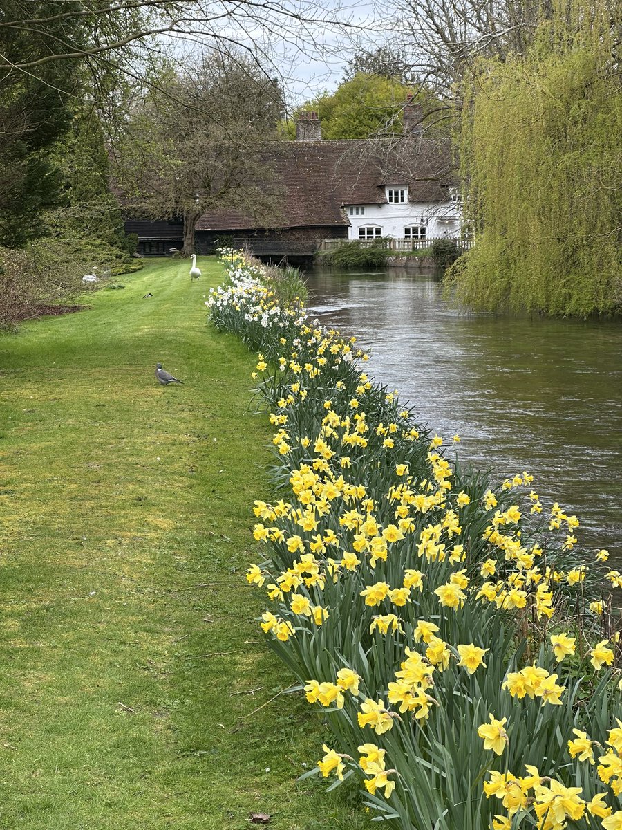 Helen Ibbott 💙📸📖 tweet media