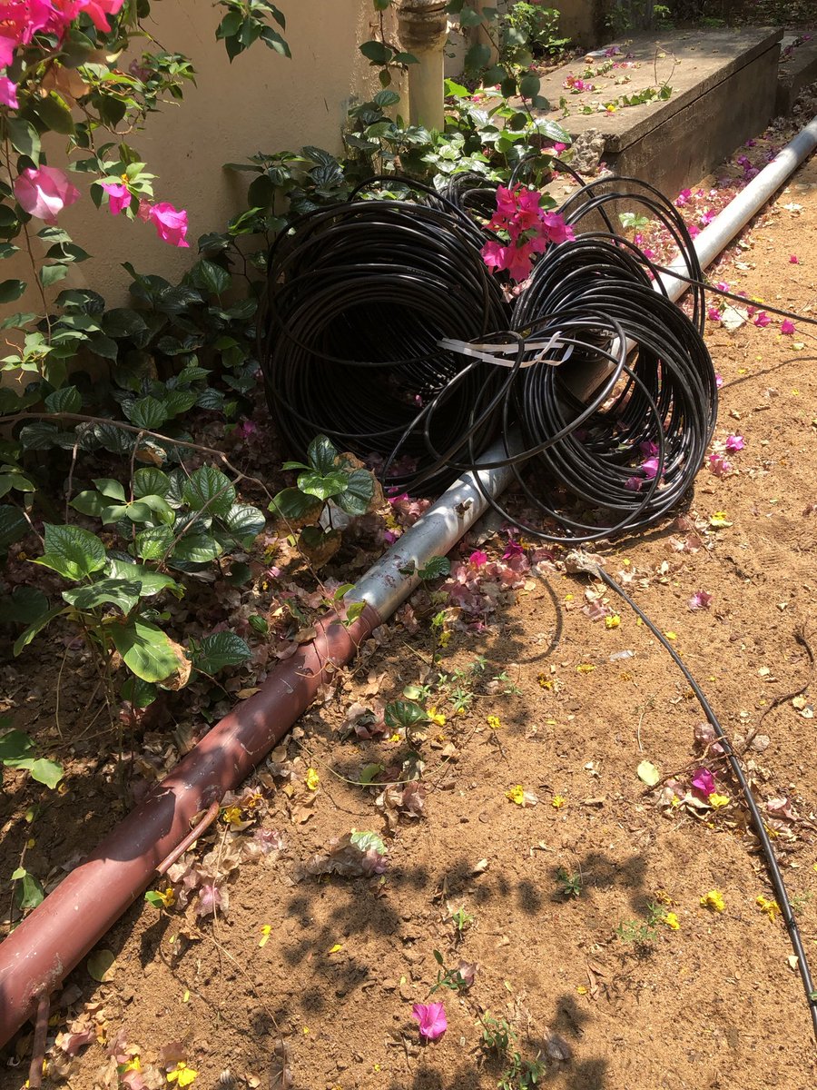 Nithya Rajagopal 💖💫🐶🐾 tweet media