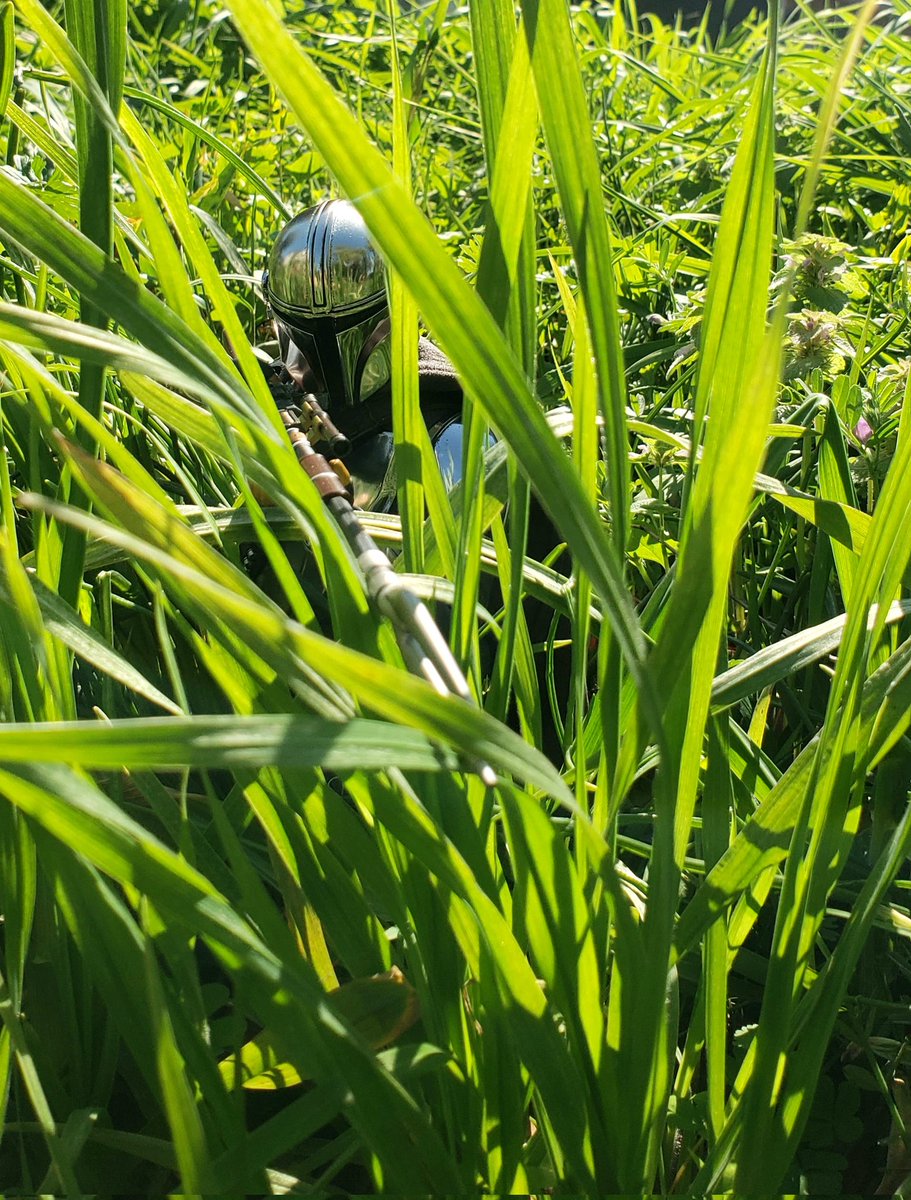 ゴードンWATARU🛡🇺🇸 tweet media