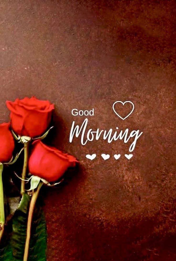 🌺🌼🌿🌼 Ǥ𝓻𝐚ｚɨａ 🌼🌿🌼🌺 tweet media