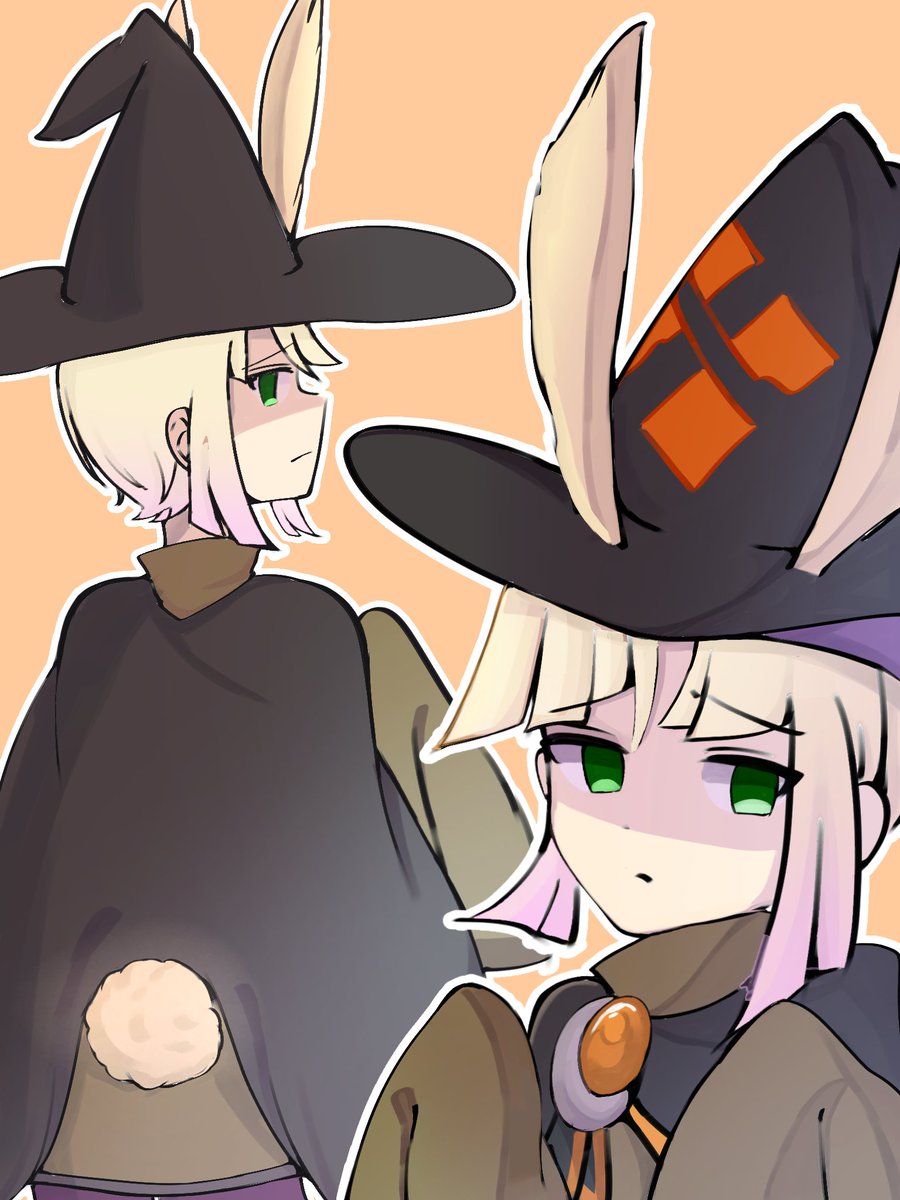 異ミリとうさぎって夢があると思う