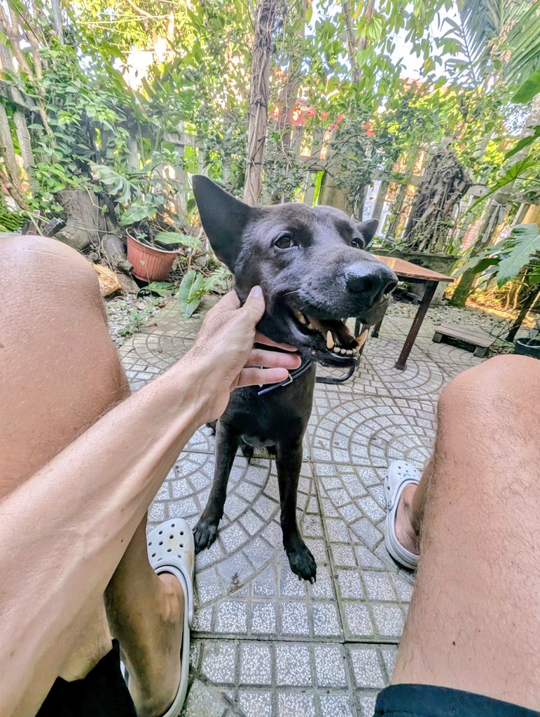 Gertjan Bos tweet media