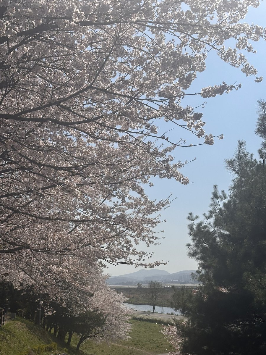 리리링 tweet media