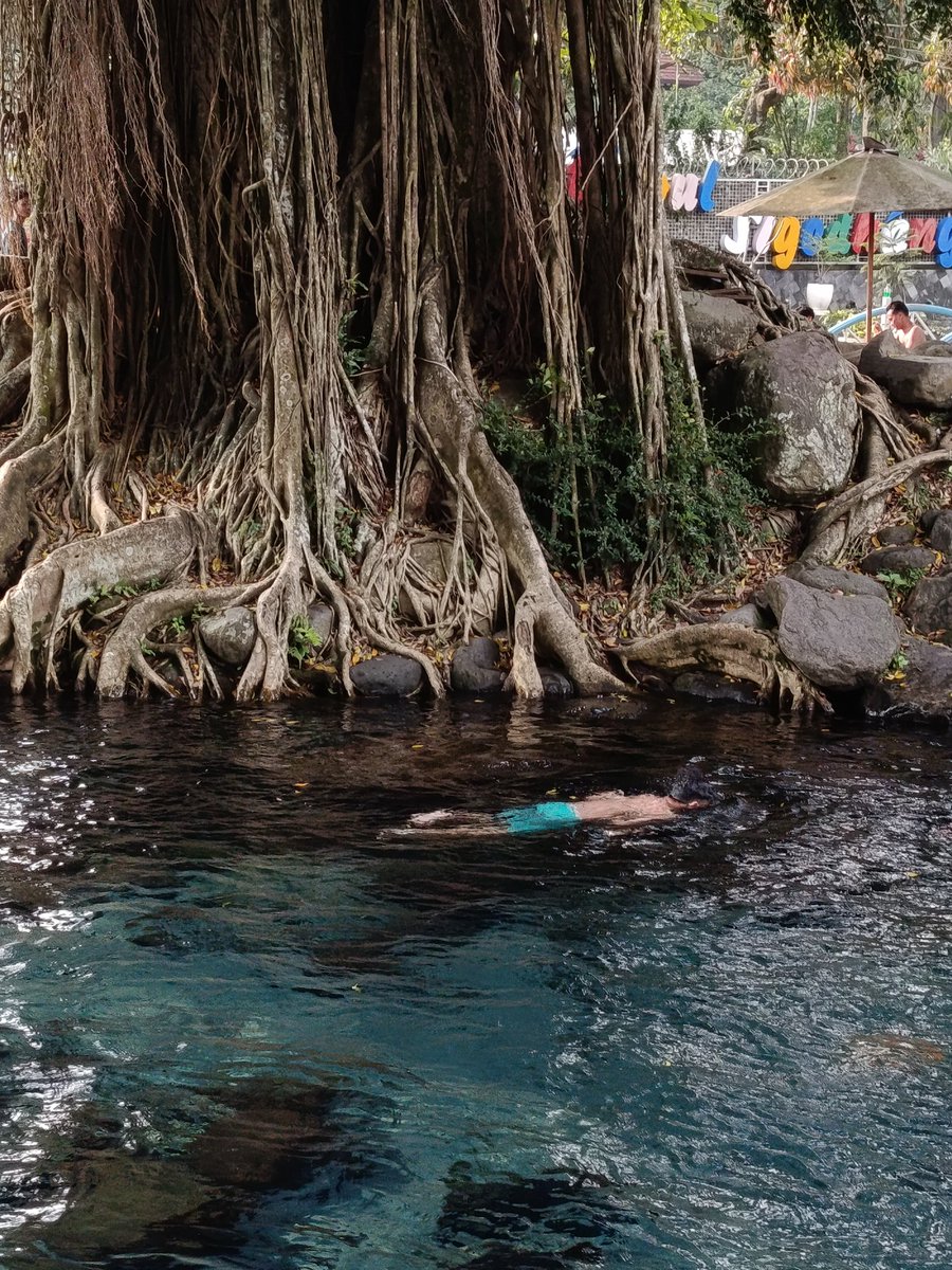 _iksandi tweet media