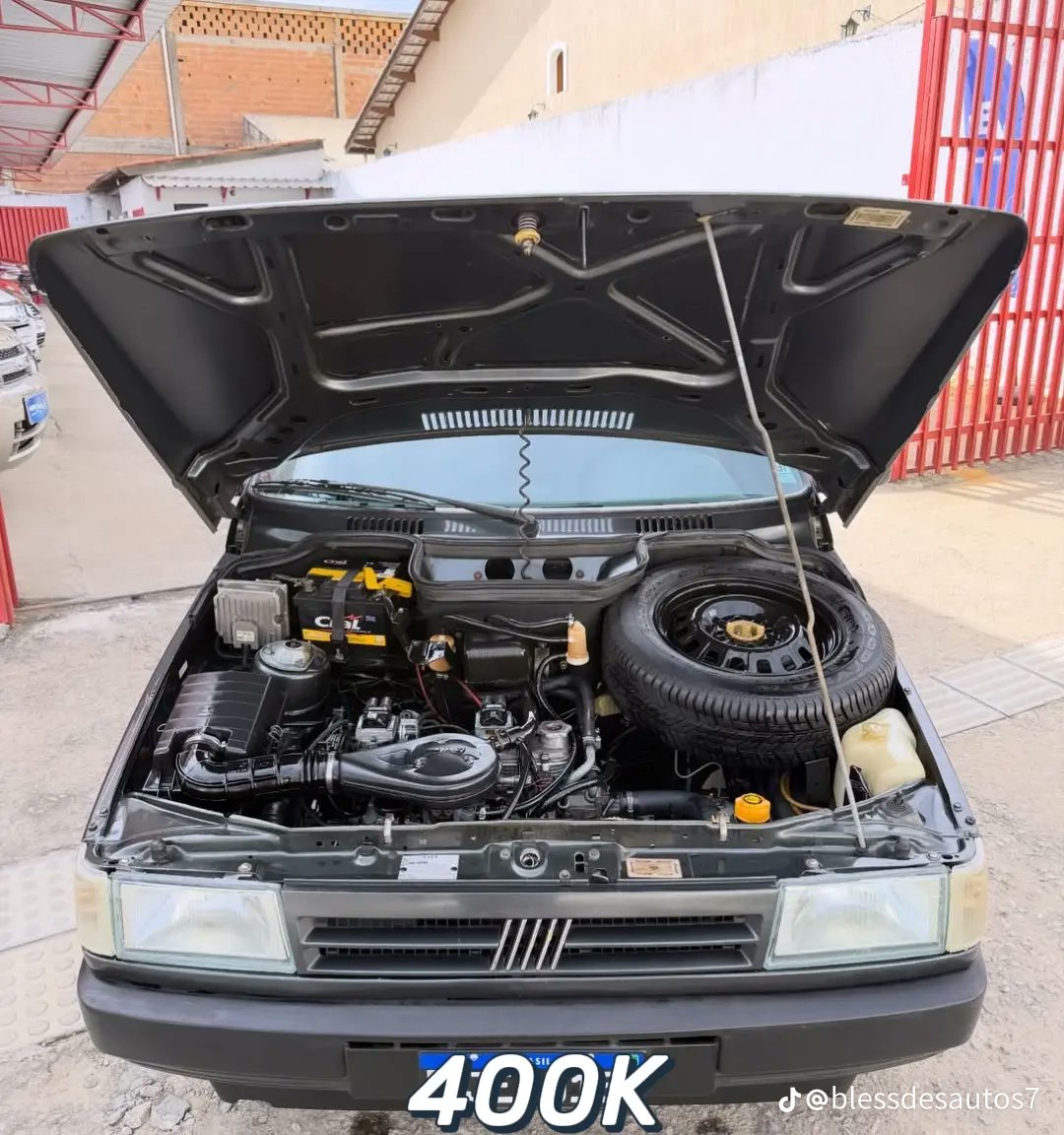 TOIS🌴 tweet media