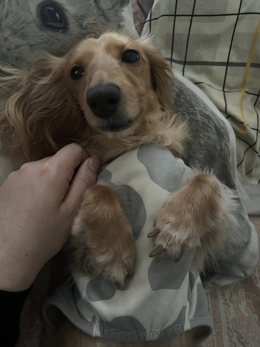 珉❄︎ ウイ2日目🪞🐉 tweet media