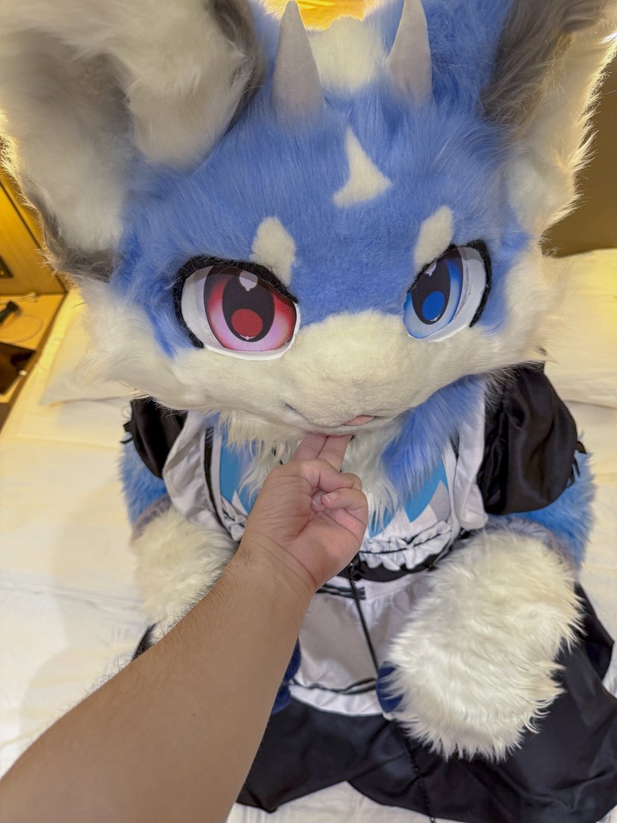 HowardCrockerG's tweet photo. 唉这玩意儿好像也只能发这里了🥺
📷：@akachh7191 https://t.co/k8IEazdcIH