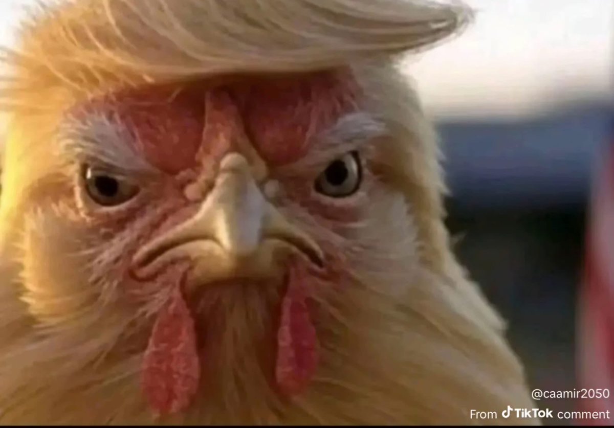 Pls_find_tanya's tweet photo. @IraninSA Real photo of trump https://t.co/UiqcZ08baL