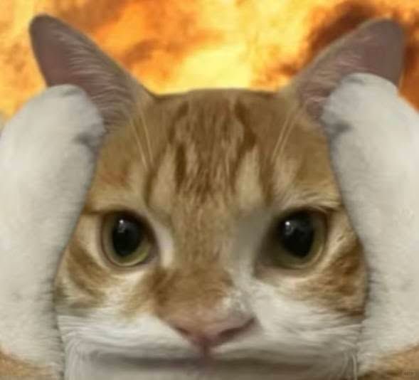 playwithmiww tweet media