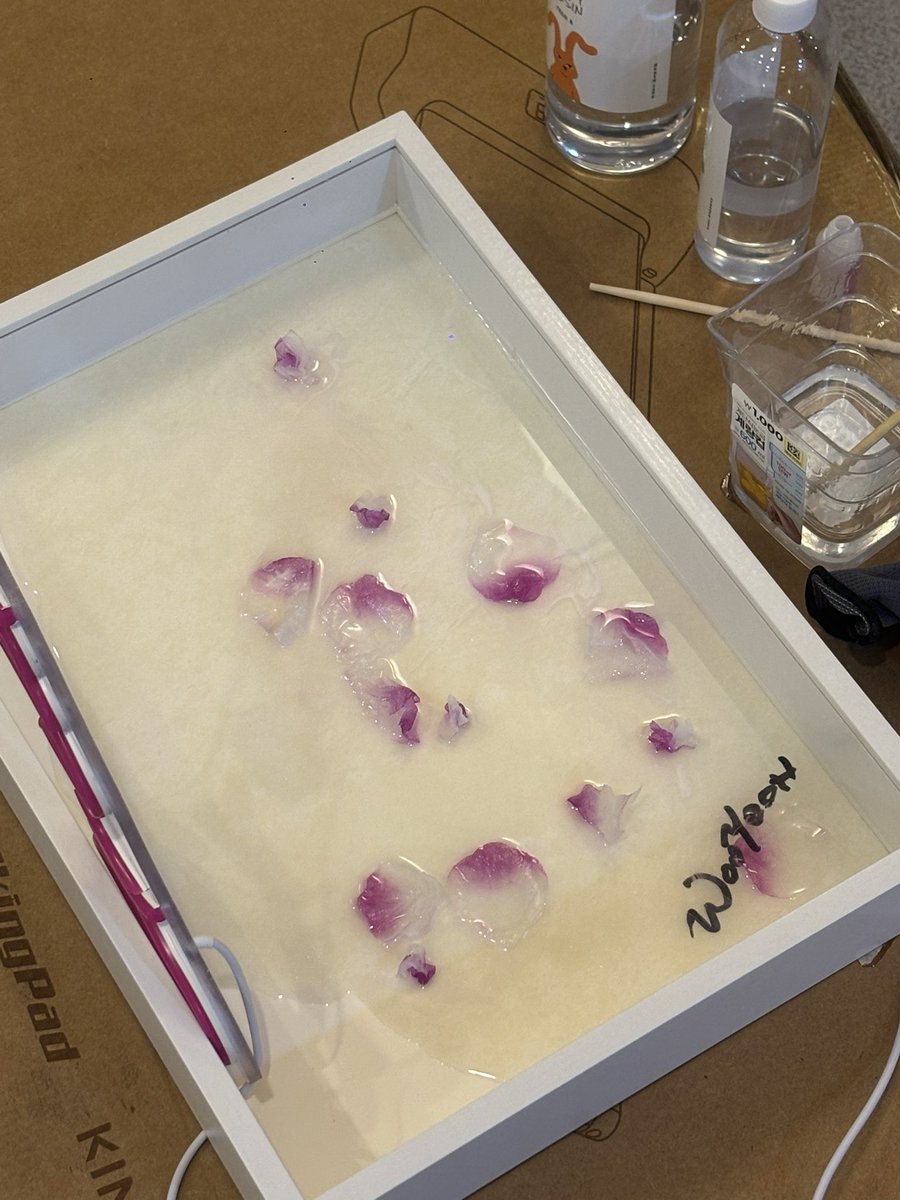 우연(偶然) tweet media