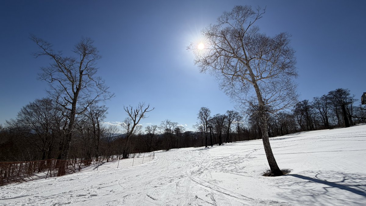 がろーね tweet media