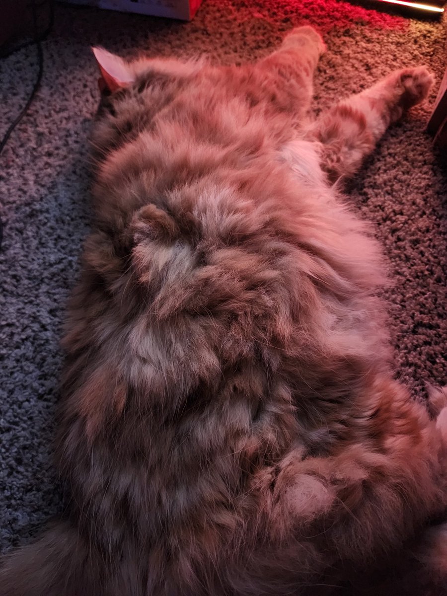 Simone 🌈 tweet media