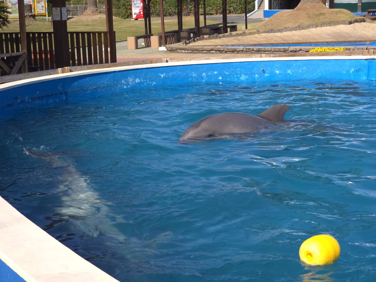 Over.D | 4/6 ~ 4/9 Nagoya tweet media