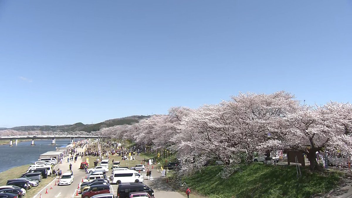 ウォッチン!スタッフ tweet media