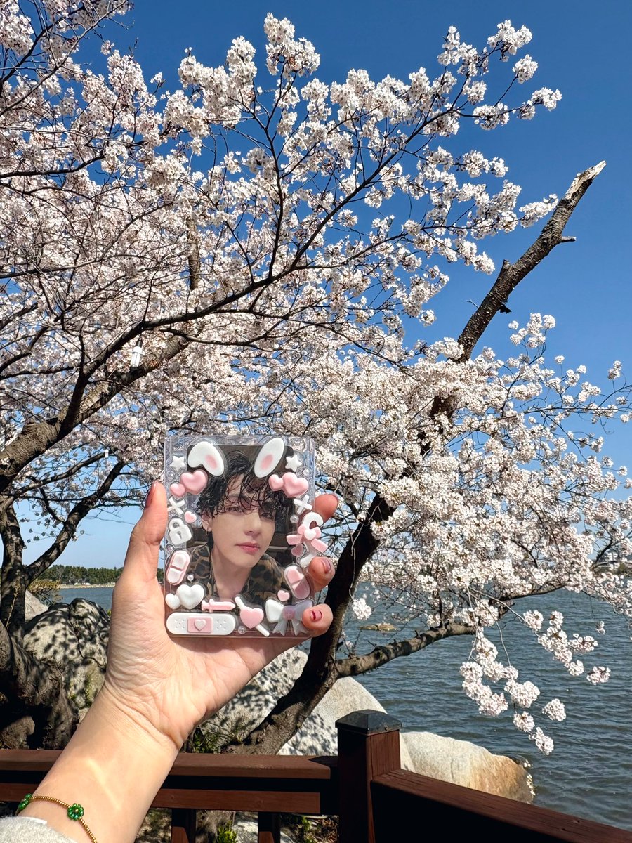 taetae cherry blossom ~