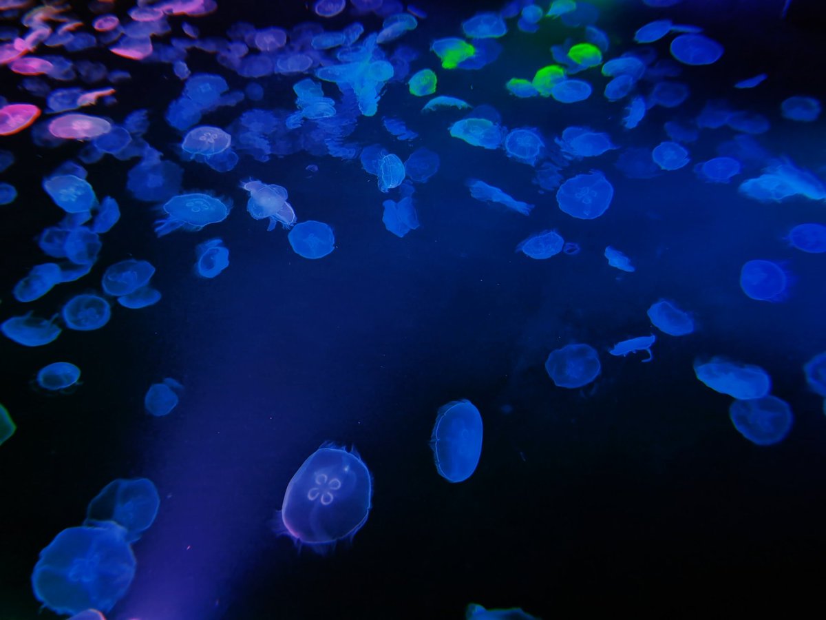 のまん tweet media