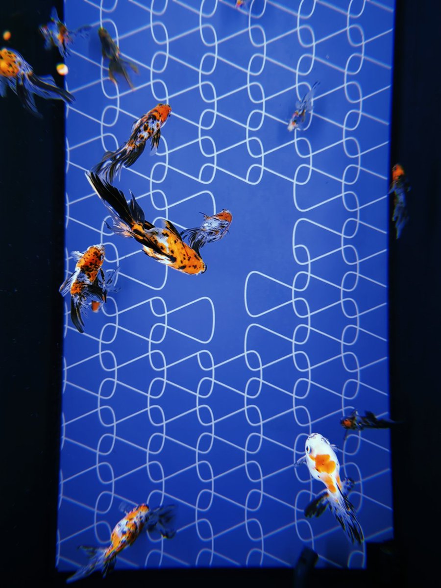 のまん tweet media