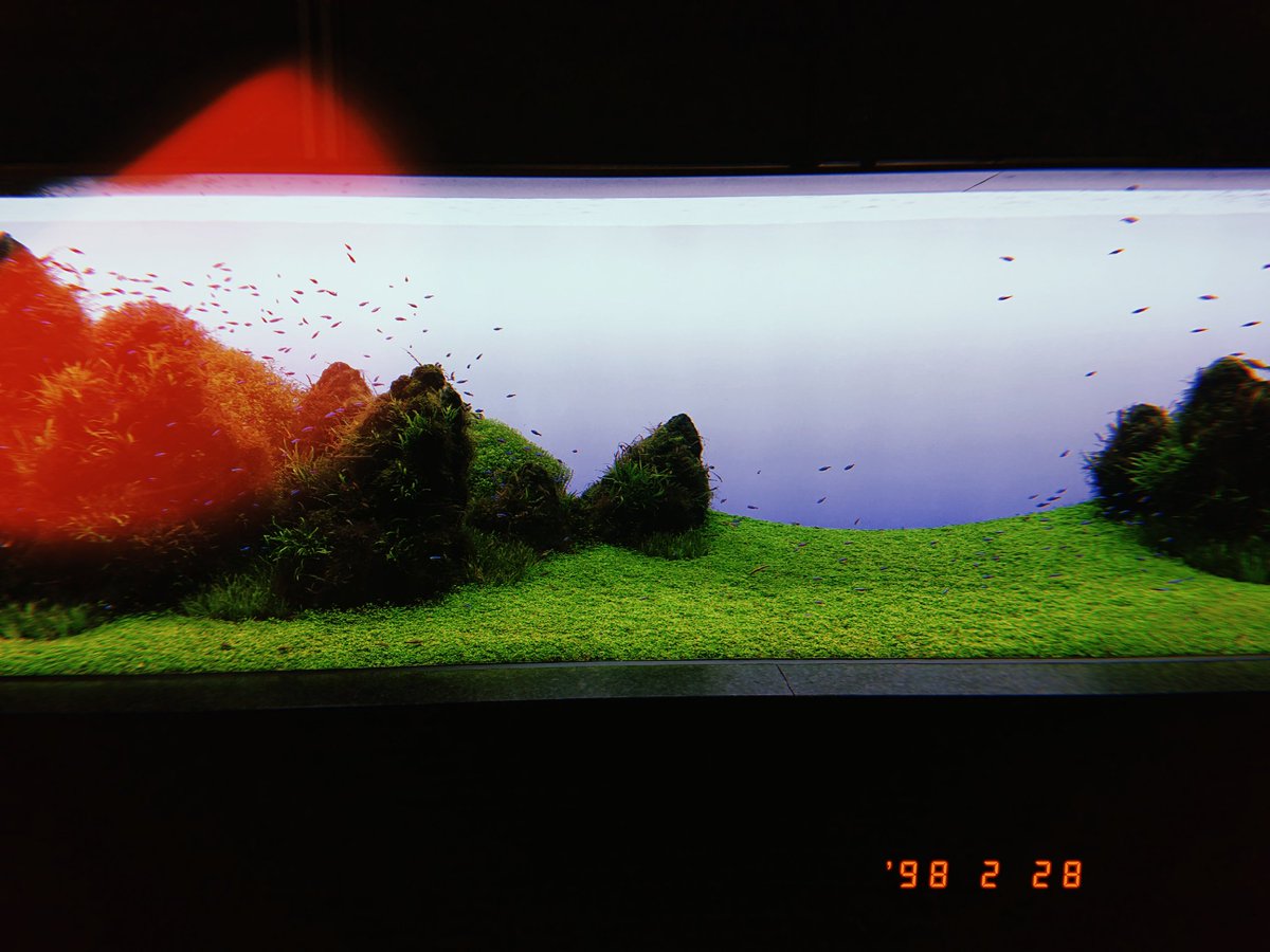 のまん tweet media