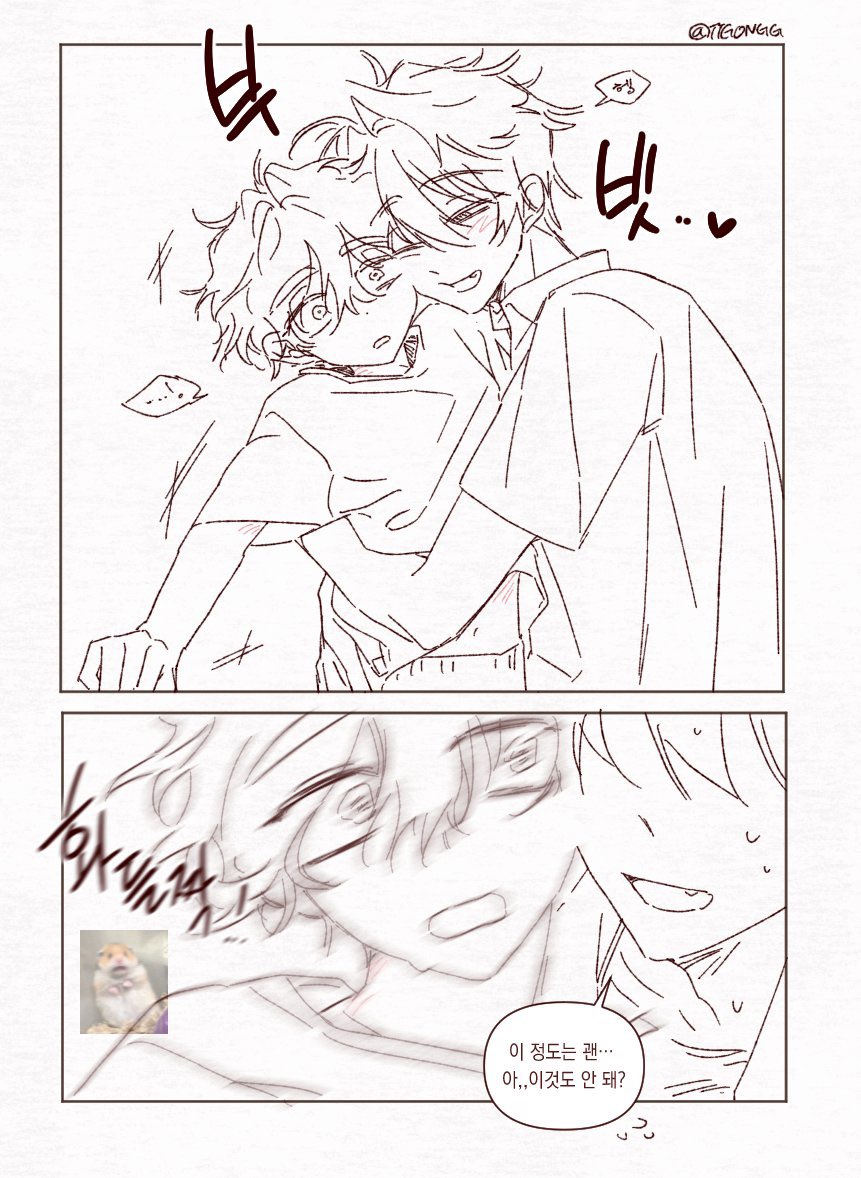 착한 이웃🩶 tweet media