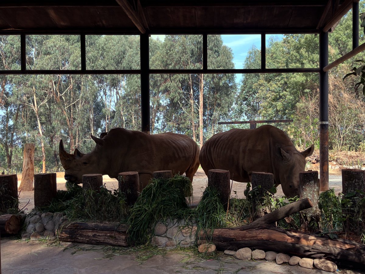 老夏的 tweet media