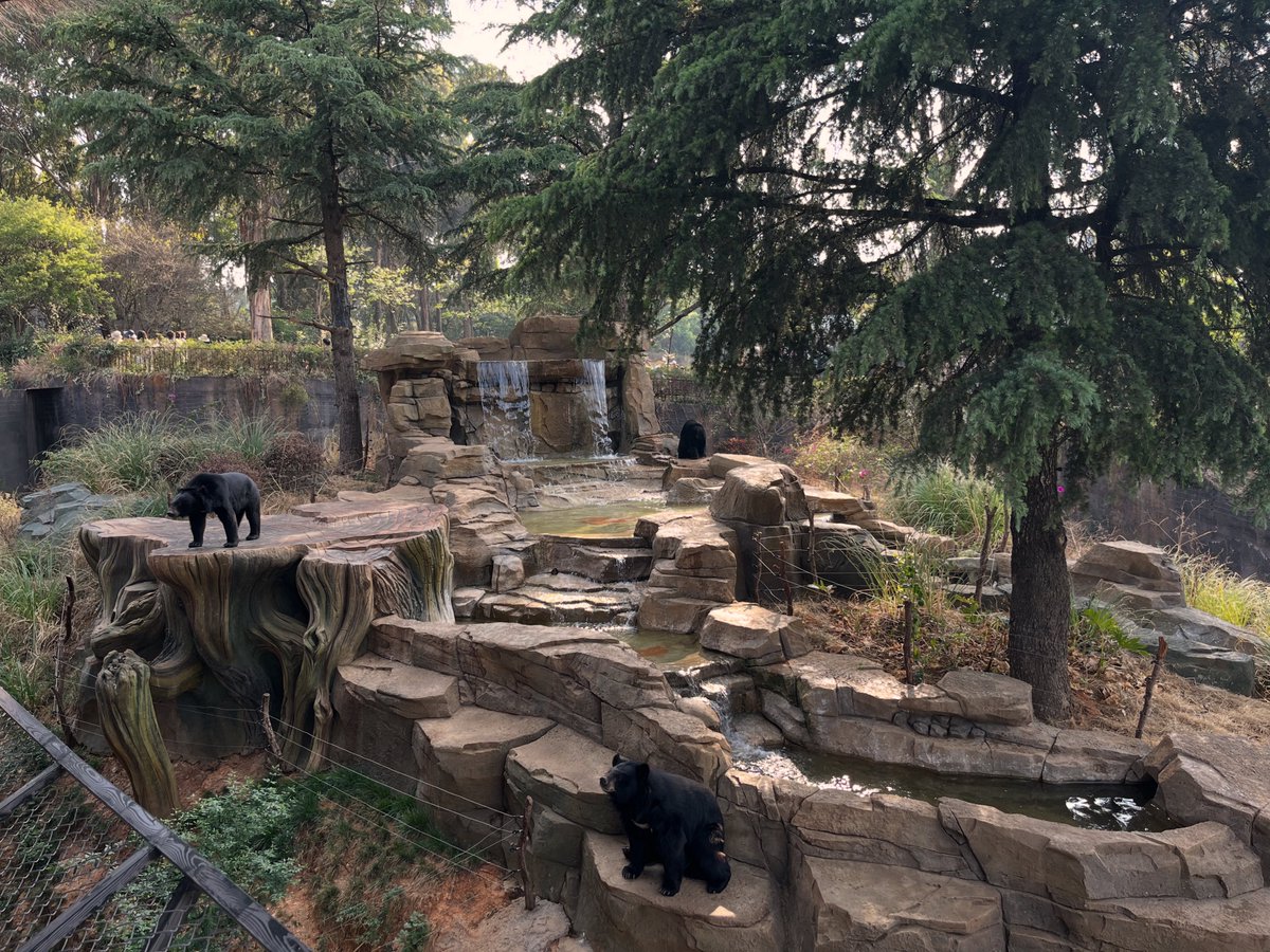 老夏的 tweet media