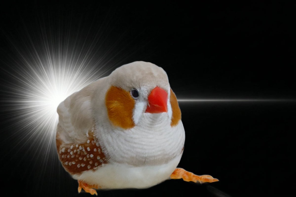 なんかチリで閃いたみたいになっとる😂